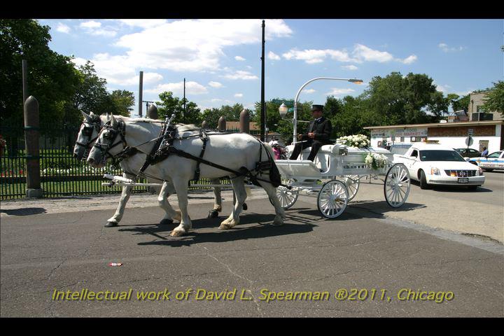 Horse drawn carriage carries casket